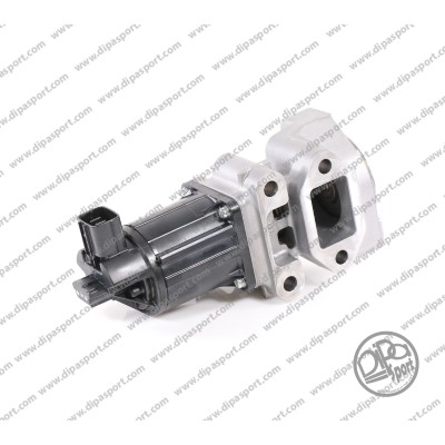 EGR Valve (EGR051DLPN)
