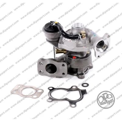 Charger, charging (supercharged/turbocharged) (TRB008DPSN)