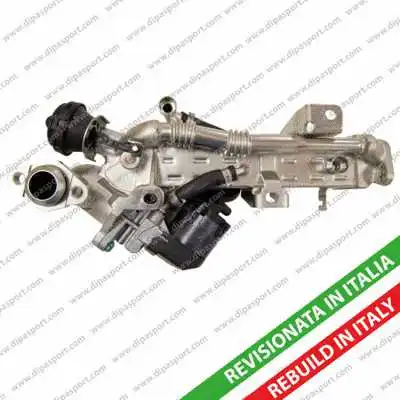 EGR Valve (EGR131RCR)