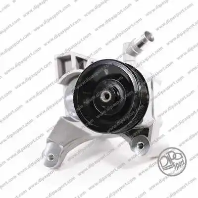 Hydraulic Pump, steering (PSO011DPSN)