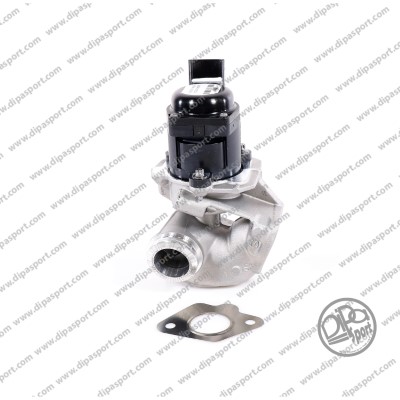 EGR Valve (EGR099DPSN)