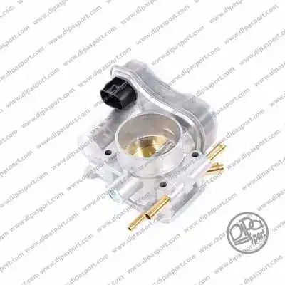 Throttle Body (FLAI073DPSN)