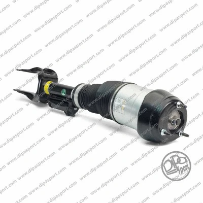 Air Suspension Strut (SSAS03060N)