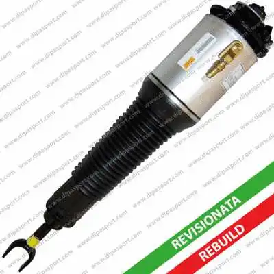 Air Suspension Strut (SSAS02560AR)