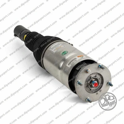 Air Suspension Strut (SSAS03070R)