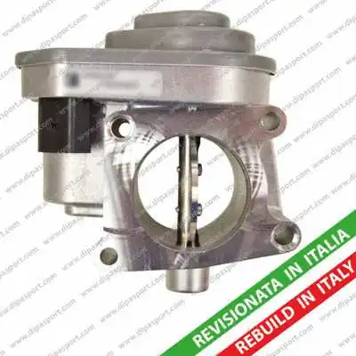 Throttle Body (FLAI072R)