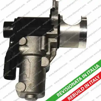 EGR Valve (EGR100R)