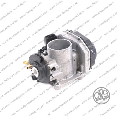 Throttle Body (FLAI211DPSN)