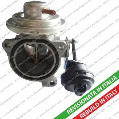 EGR Valve (EGR043R)