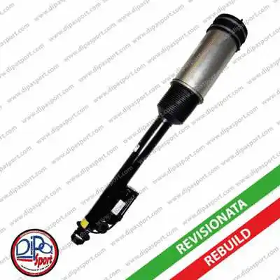 Air Suspension Strut (SSAS02194AR)