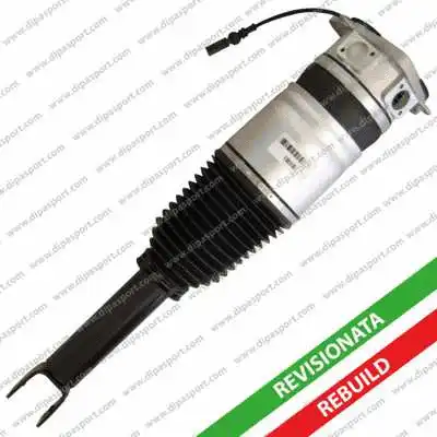 Air Suspension Strut (SSAS011AR)
