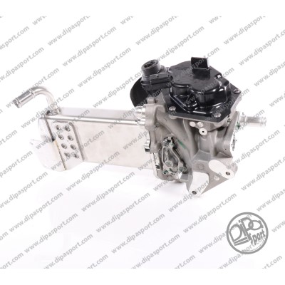 EGR Valve (EGR133PRBN)