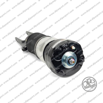 Air Suspension Strut (SSAS03038R)
