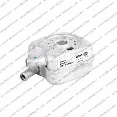 Oil Cooler, engine oil (RAO006N)