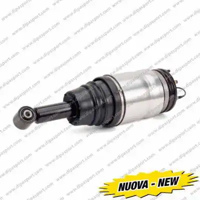 Air Suspension Strut (SSAS02762N)