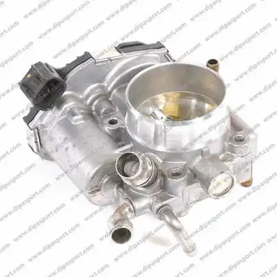Throttle Body (FLAI462N)