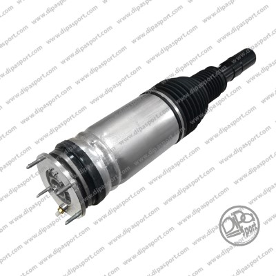 Air Suspension (SSAS018N)