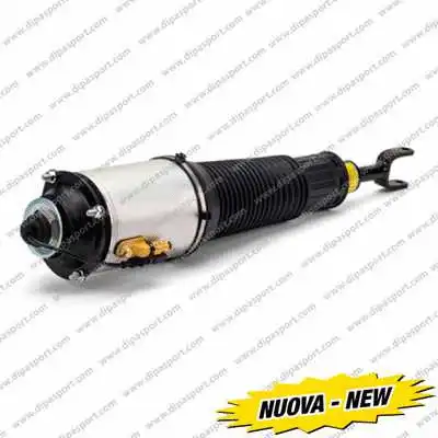 Air Suspension Strut (SSAS02893N)