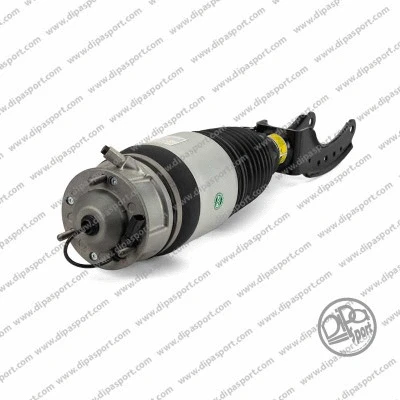 Air Suspension Strut (SSAS03056R)