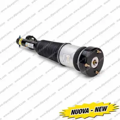 Air Suspension Strut (SSAS02820N)