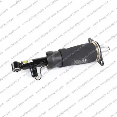 Air Suspension Strut (SSAS02133N)