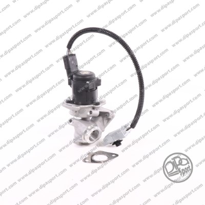 EGR Valve (EGR016DPSN)