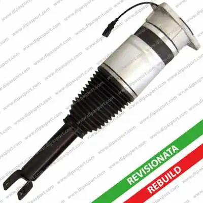 Air Suspension Strut (SSAS012AR)