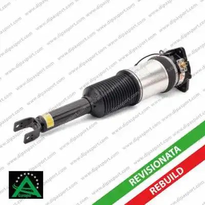 Air Suspension Strut (SSAS02965R)
