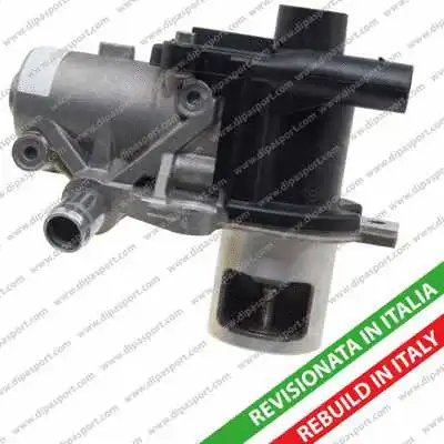 EGR Valve (EGR096R)