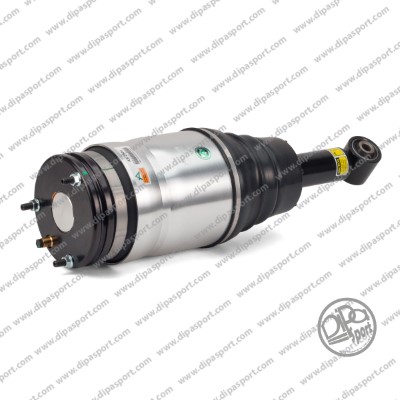 Air Suspension Strut (SSAS014ARTN)