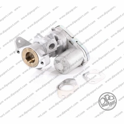 EGR Valve (EGR010DPSN)
