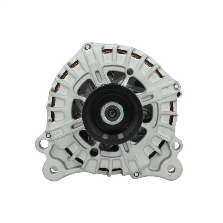 Alternator (305.919.220.004)