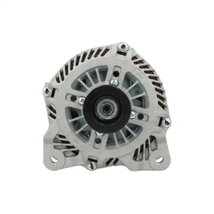 Alternator (575.928.210.130)
