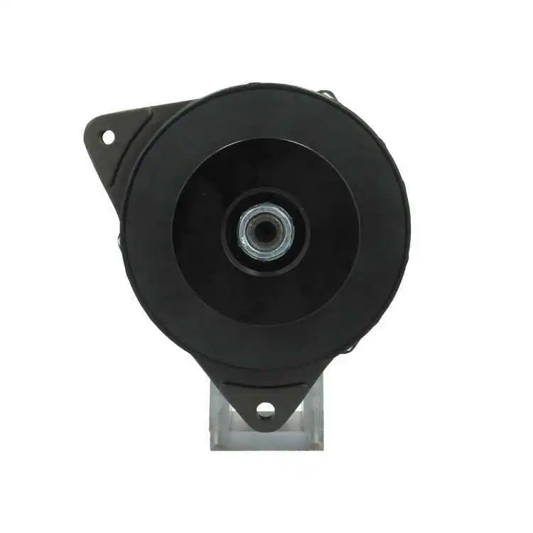 Alternator (595.033.080.100)