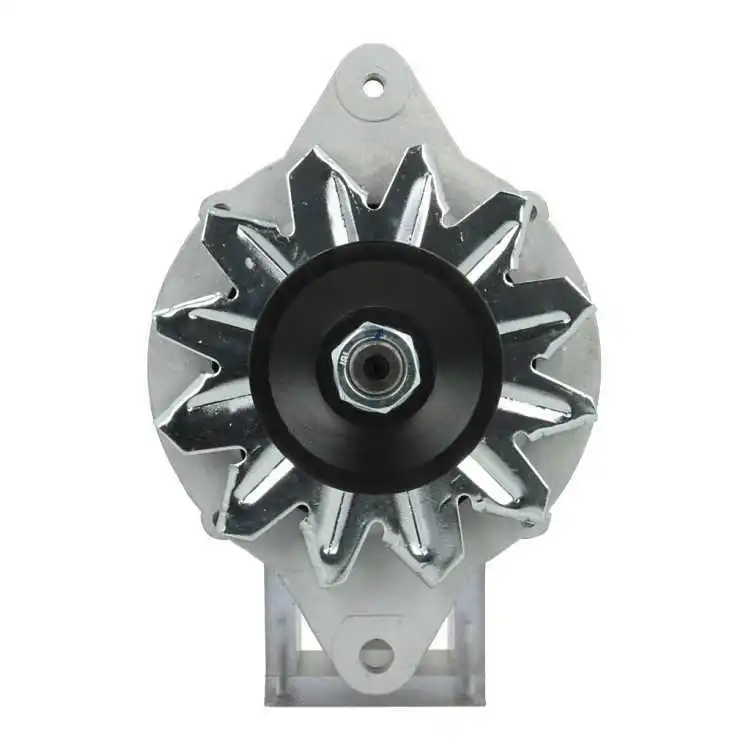 Alternator (165.010.060.080)