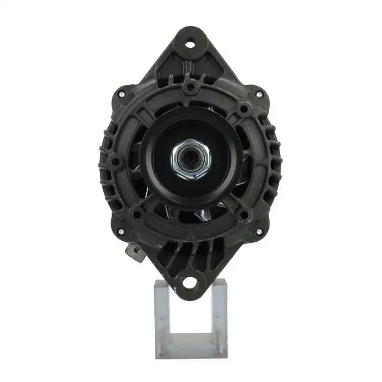 Alternator (975.506.095.030)