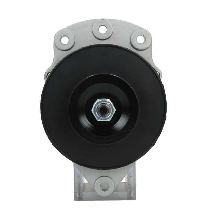 Alternator (866.000.055.100)