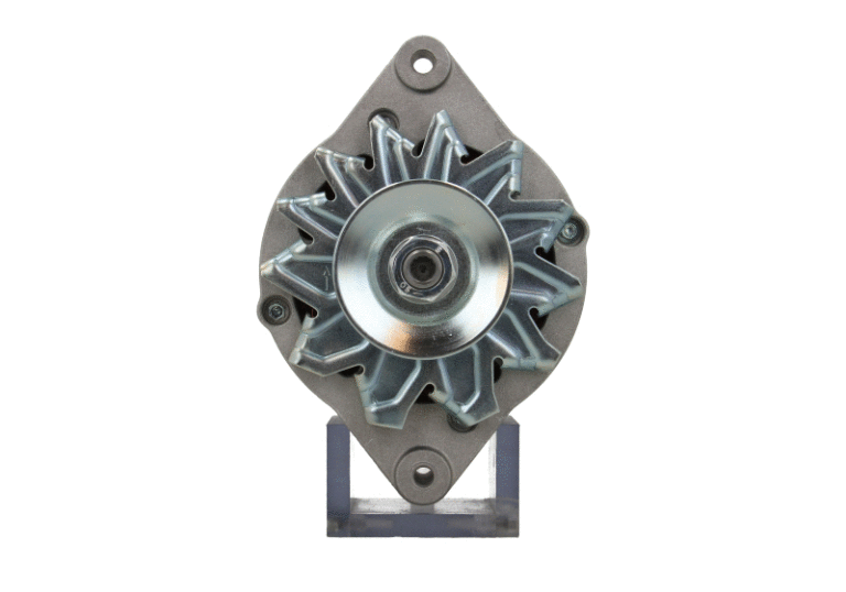 Alternator (135.008.065.313)