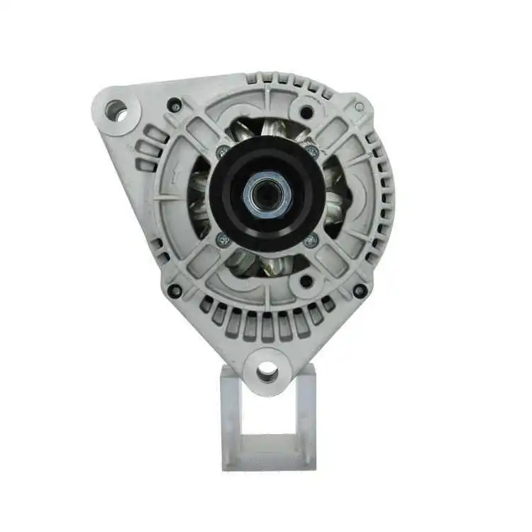 Alternator (555.501.070.010)