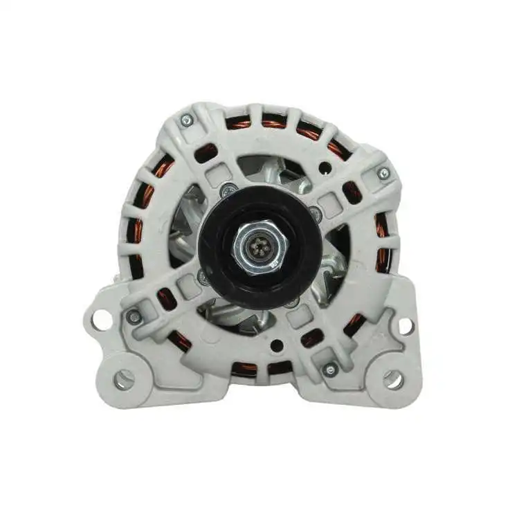 Alternator (305.931.110.010)