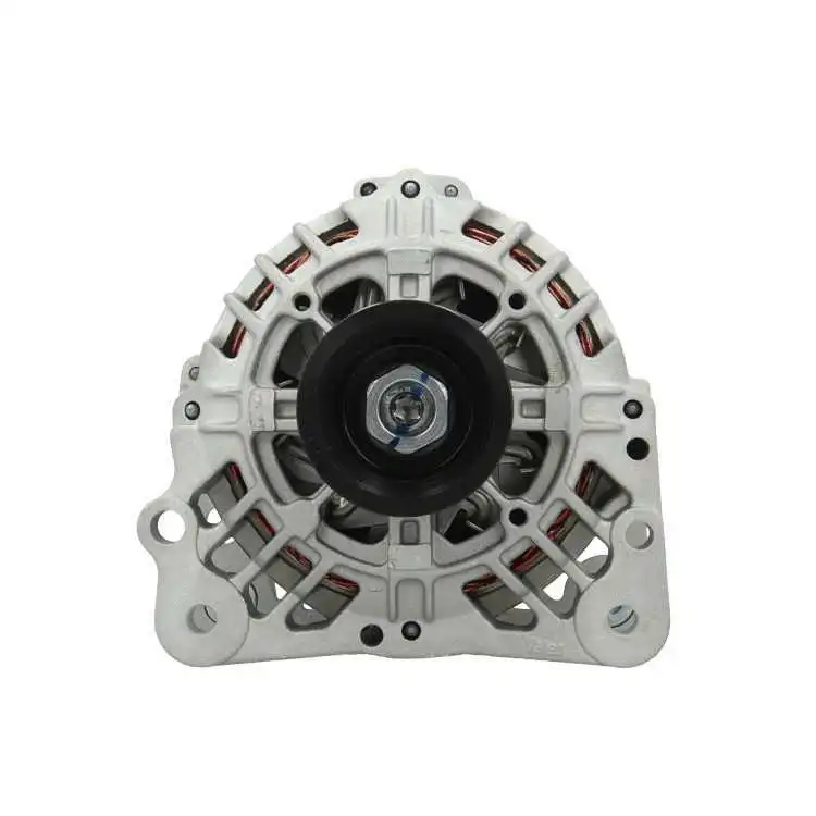 Alternator (305.517.090.500)
