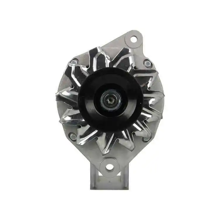 Alternator (575.053.065.000)