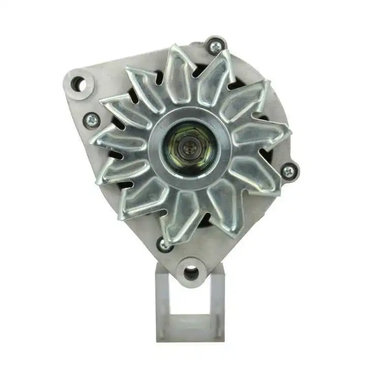Alternator (555.019.080.010)