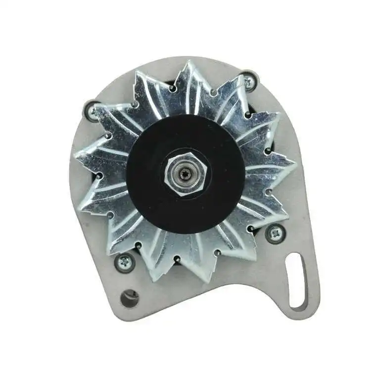 Alternator (465.003.065.010)