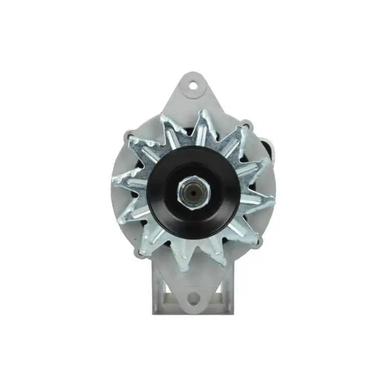 Alternator (165.809.040.080)