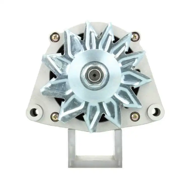 Alternator (205.007.090.010)