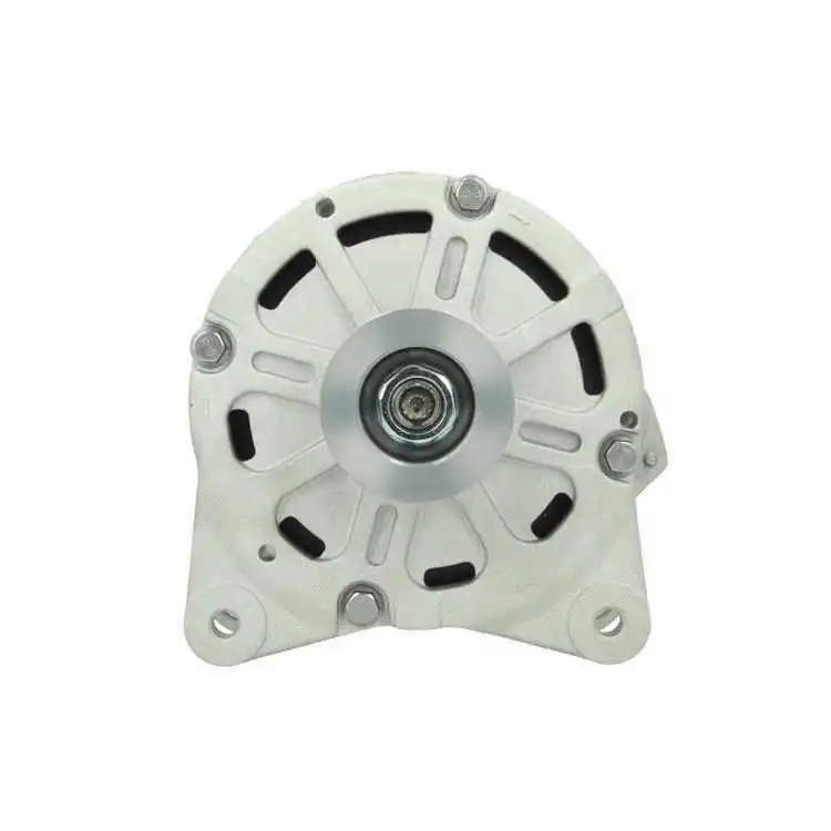 Alternator (305.411.190.080)
