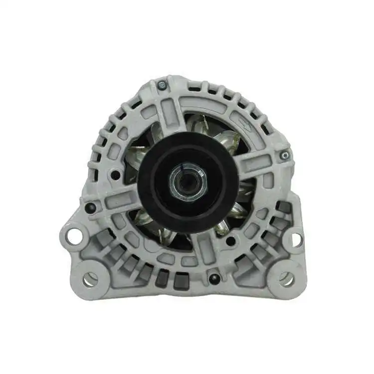 Alternator (305.542.110.010)