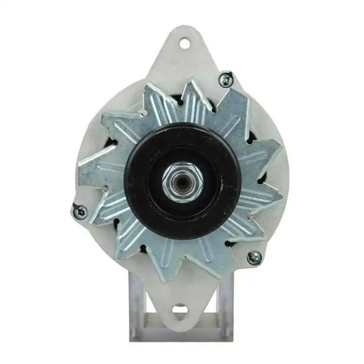 Alternator (195.012.055.050)
