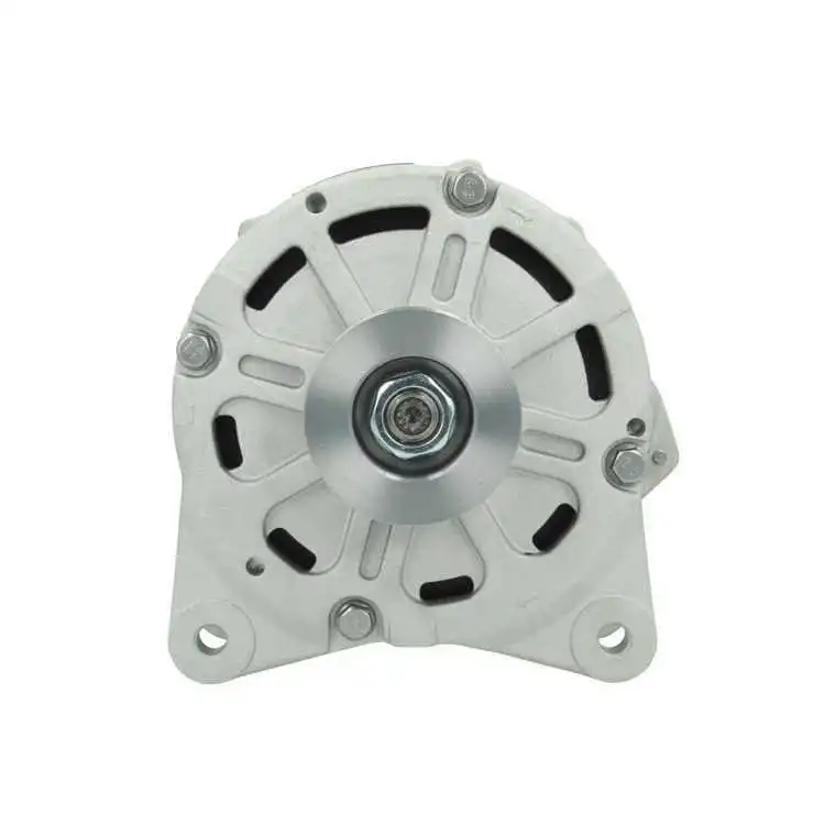 Alternator (305.417.190.080)